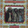 Cover for Praises by Israel Vibration